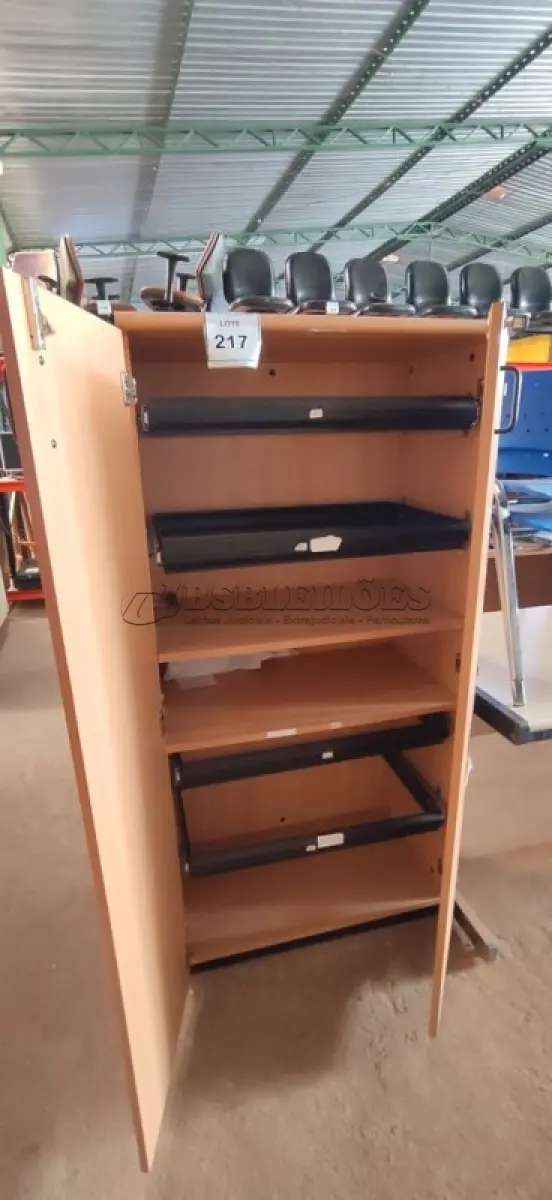 LOTE 217 - 01 ARMÁRIO PARA PASTAS SUSPENSAS.  (NO ESTADO) ATENÇÃO! FAZER A VISITAÇÃO ANTES DE ARREMATAR, NÃO SABEMOS SE FUNCIONA. LEILÃO NÃO TEM GARANTIA E NEM DEVOLUÇÃO, SUJEITO A POSSÍVEIS AVARIAS VISÍVEIS/OCULTAS E/OU AUSÊNCIA DE COMPONENTES.