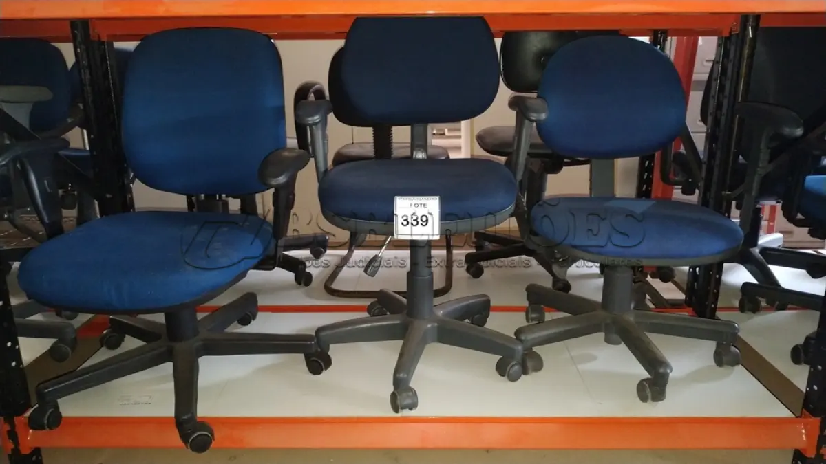 LOTE 339