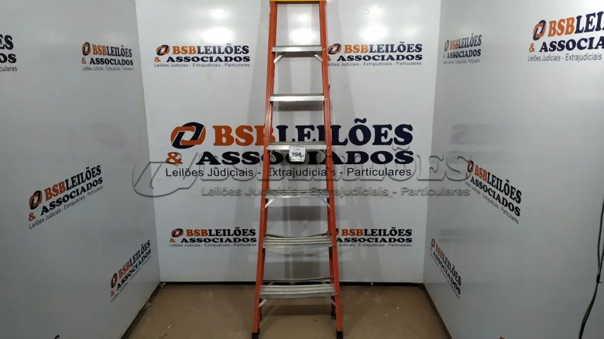 LOTE 298