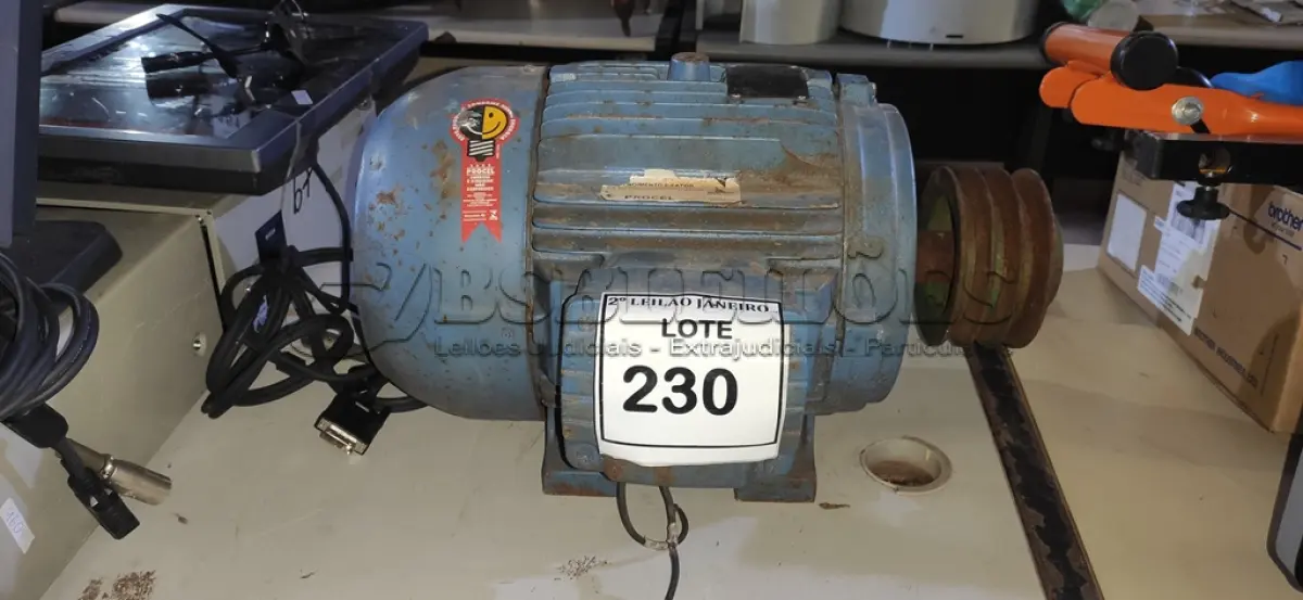 LOTE 230 - 01 MOTOR ELÉTRICO INDUSTRIAL. (NO ESTADO) ATENÇÃO! FAZER A VISITAÇÃO ANTES DE ARREMATAR, NÃO SABEMOS SE FUNCIONA, LEILÃO NÃO TEM GARANTIA E NEM DEVOLUÇÃO, SUJEITO A POSSÍVEIS AVARIAS VISÍVEIS/OCULTAS E/OU AUSÊNCIA DE COMPONENTES.