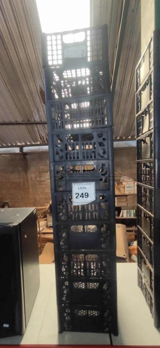 LOTE 249 - 10 CESTAS ORGANIZADORAS. (NO ESTADO) ATENÇÃO! FAZER A VISITAÇÃO ANTES DE ARREMATAR, NÃO SABEMOS SE FUNCIONA. LEILÃO NÃO TEM GARANTIA E NEM DEVOLUÇÃO, SUJEITO A POSSÍVEIS AVARIAS VISÍVEIS/OCULTAS E/OU AUSÊNCIA DE COMPONENTES.