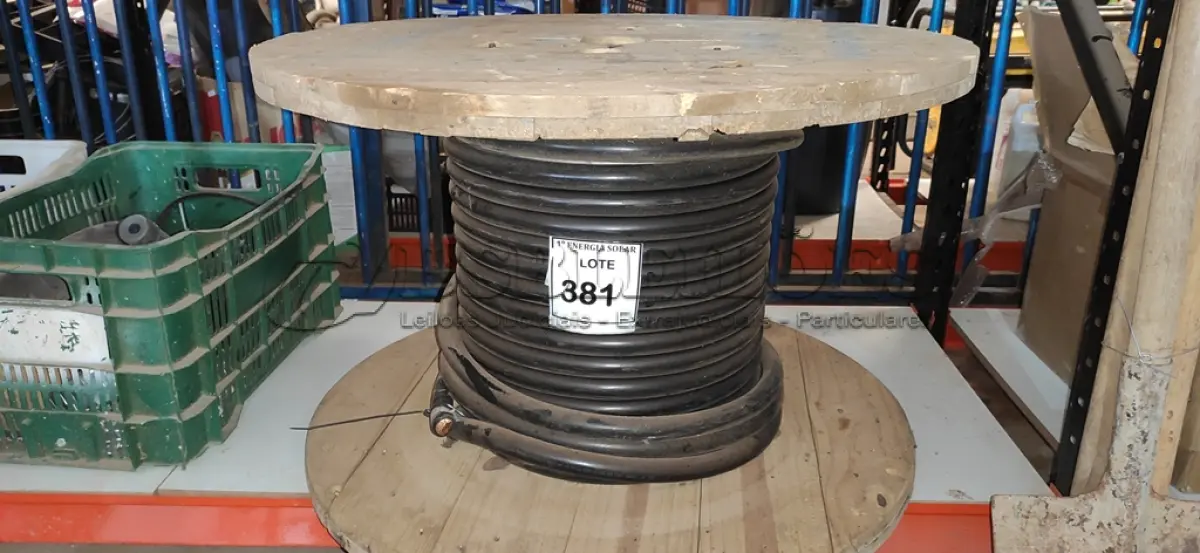 LOTE 381