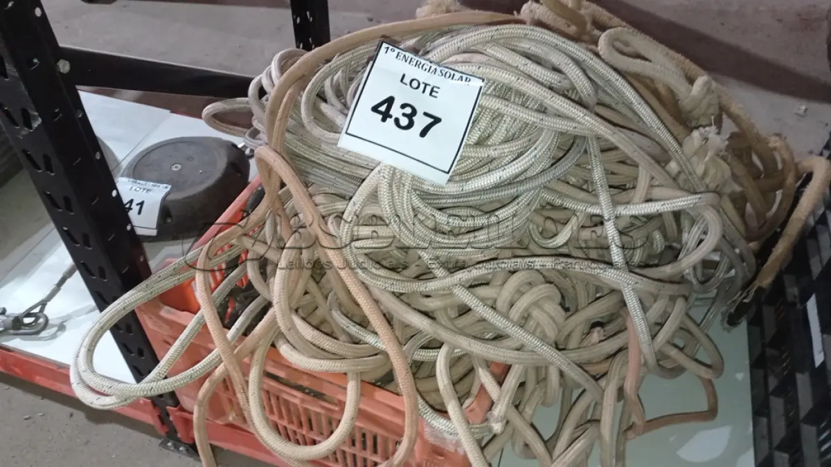 LOTE 437 - 01 LOTE COM CORDAS DIVERSAS. (NO ESTADO) ATENÇÃO! FAZER A VISITAÇÃO ANTES DE ARREMATAR, NÃO SABEMOS SE FUNCIONA, LEILÃO NÃO TEM GARANTIA E NEM DEVOLUÇÃO, SUJEITO A POSSÍVEIS AVARIAS VISÍVEIS/OCULTAS E/OU 