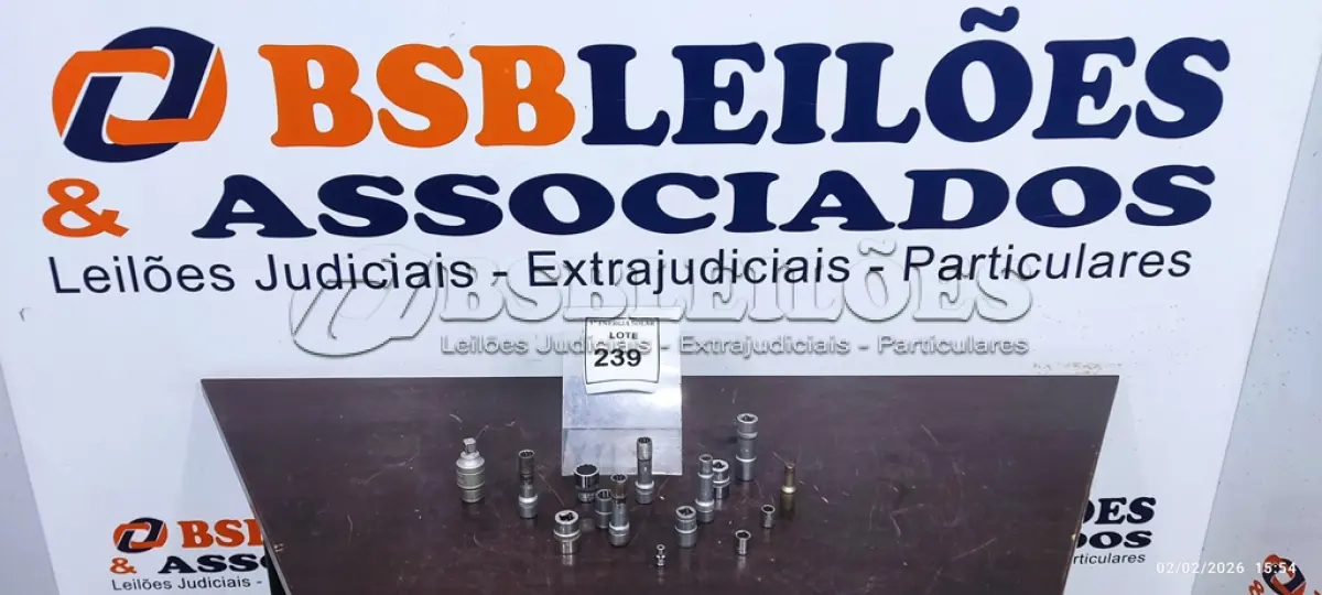 LOTE 239