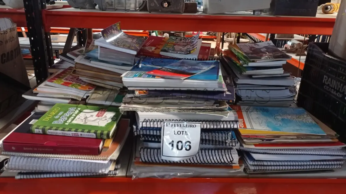 LOTE 106 - 01 LOTE COM GRANDES QUANTIDADES DE LIVROS DIDÁTICOS, APOSTILAS, REVISTAS E LITERATURA DIVERSAS. (NO ESTADO) ATENÇÃO! FAZER A VISITAÇÃO ANTES DE ARREMATAR, NÃO SABEMOS SE FUNCIONA, LEILÃO NÃO TEM GARANTIA E NEM DEVOLUÇÃO, SUJEITO A POSSÍVEIS AVARIAS VISÍVEIS/OCULTAS E/OU AUSÊNCIA DE COMPONENTES.