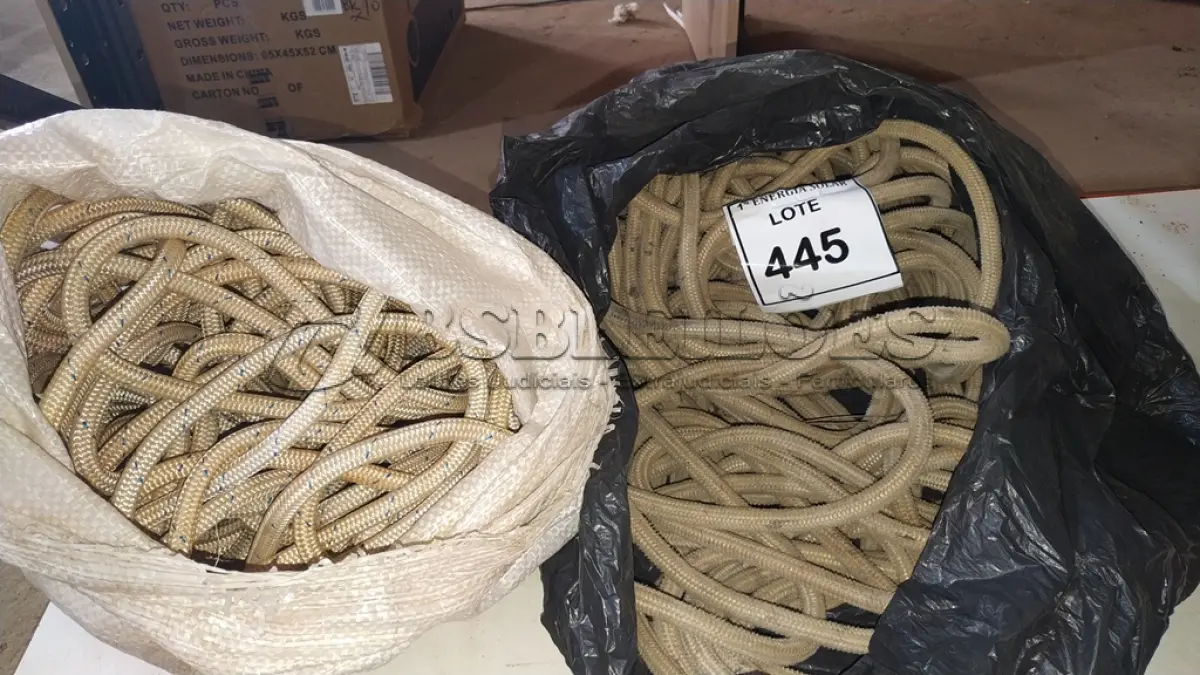 LOTE 445 - 01 LOTE COM CORDAS DIVERSAS. (NO ESTADO) ATENÇÃO! FAZER A VISITAÇÃO ANTES DE ARREMATAR, NÃO SABEMOS SE FUNCIONA, LEILÃO NÃO TEM GARANTIA E NEM DEVOLUÇÃO, SUJEITO A POSSÍVEIS AVARIAS VISÍVEIS/OCULTAS E/OU 