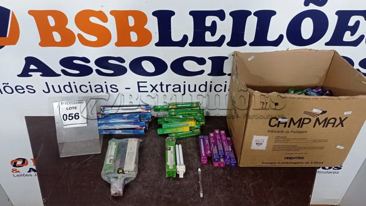 LOTE 056 - 01 LOTE COM GRANDE QUANTIDADE DE LÂMPADAS PL DE MARCAS E MODELOS DIVERSOS. (NO ESTADO) ATENÇÃO! FAZER A VISITAÇÃO ANTES DE ARREMATAR, NÃO SABEMOS SE FUNCIONA, LEILÃO NÃO TEM GARANTIA E NEM DEVOLUÇÃO, SUJEITO A POSSÍVEIS AVARIAS VISÍVEIS/OCULTAS E/OU AUSÊNCIA DE COMPONENTES.
