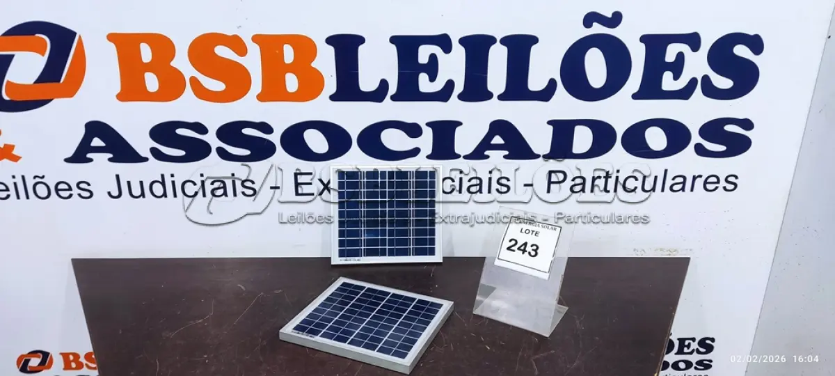 LOTE 243