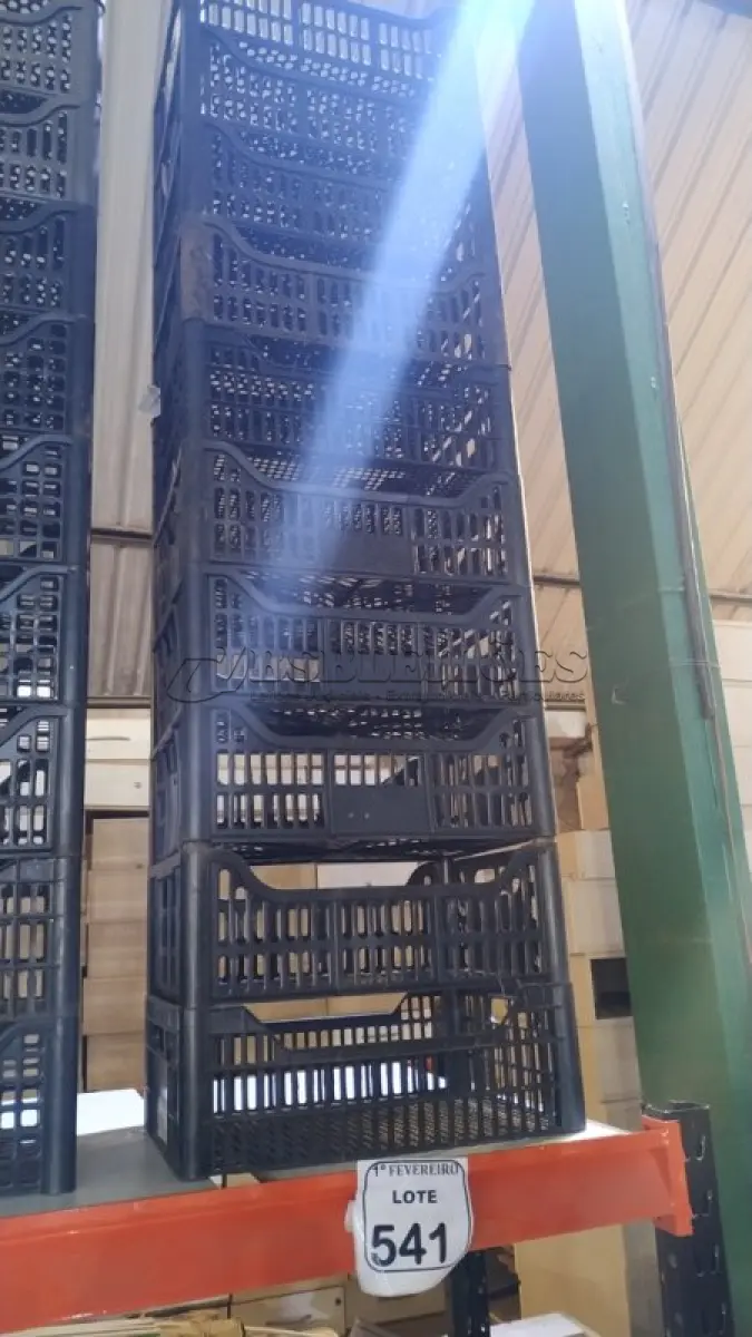 LOTE 541 - 10 CESTAS ORGANIZADORAS. (NO ESTADO) ATENÇÃO! FAZER A VISITAÇÃO ANTES DE ARREMATAR, NÃO SABEMOS SE FUNCIONA, LEILÃO NÃO TEM GARANTIA E NEM DEVOLUÇÃO, SUJEITO A POSSÍVEIS AVARIAS VISÍVEIS/OCULTAS E/OU AUSÊNCIA DE COMPONENTES.