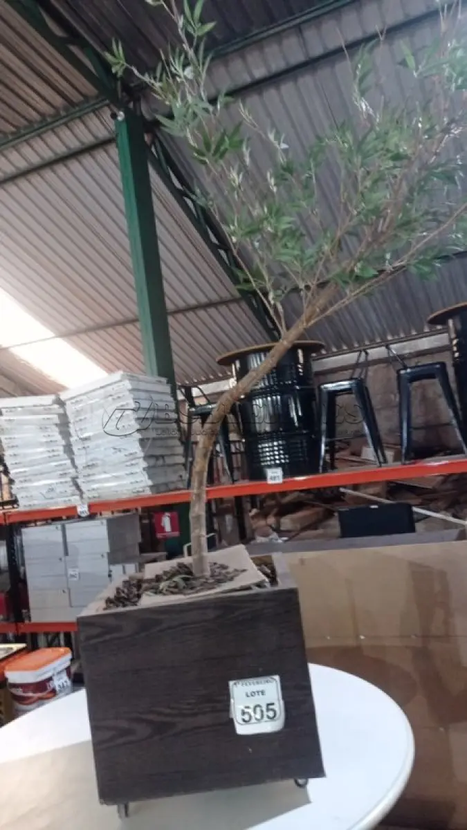 LOTE 505 - 01 PLANTA ARTIFICIAL EM 01 VASO DE MADEIRA COM RODINHAS. (NO ESTADO) ATENÇÃO! FAZER A VISITAÇÃO ANTES DE ARREMATAR, NÃO SABEMOS SE FUNCIONA, LEILÃO NÃO TEM GARANTIA E NEM DEVOLUÇÃO, SUJEITO A POSSÍVEIS AVARIAS VISÍVEIS/OCULTAS E/OU AUSÊNCIA DE COMPONENTES.