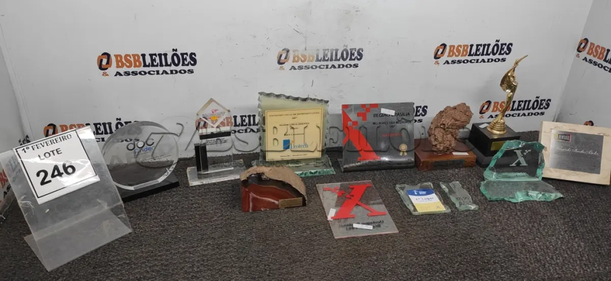 LOTE 246 - 01 LOTE COM VÁRIOS TROFÉUS E PLACAS COMEMORATIVAS. (NO ESTADO) ATENÇÃO! FAZER A VISITAÇÃO ANTES DE ARREMATAR, NÃO SABEMOS SE FUNCIONA, LEILÃO NÃO TEM GARANTIA E NEM DEVOLUÇÃO, SUJEITO A POSSÍVEIS AVARIAS VISÍVEIS/OCULTAS E/OU AUSÊNCIA DE COMPONENTES.