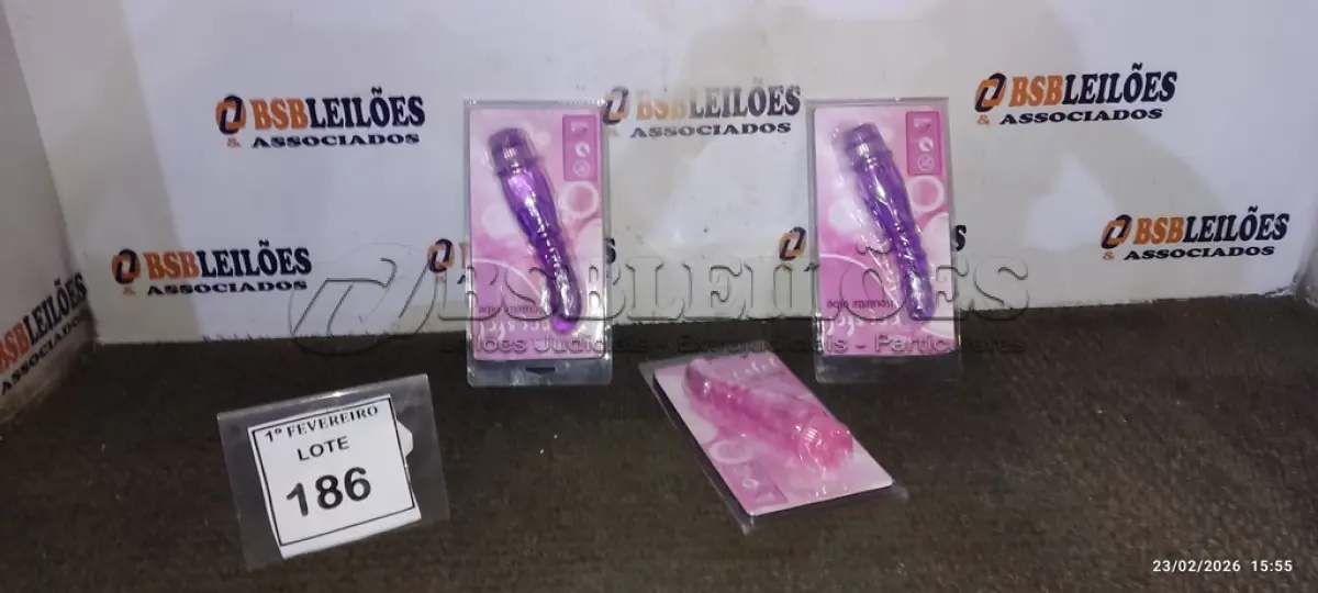 LOTE 186 - 01 LOTE COM ITENS DE SEX SHOP. (NO ESTADO) ATENÇÃO! FAZER A VISITAÇÃO ANTES DE ARREMATAR, NÃO SABEMOS SE FUNCIONA, LEILÃO NÃO TEM GARANTIA E NEM DEVOLUÇÃO, SUJEITO A POSSÍVEIS AVARIAS VISÍVEIS/OCULTAS E/OU AUSÊNCIA DE COMPONENTES.