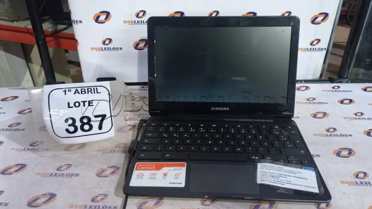 LOTE 387