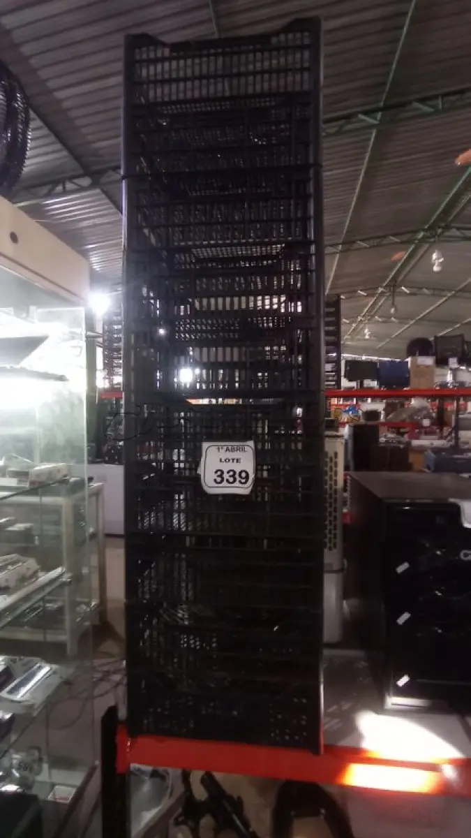 LOTE 339
