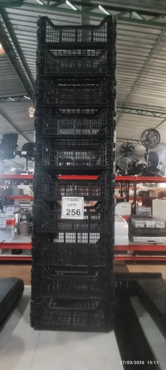 LOTE 256