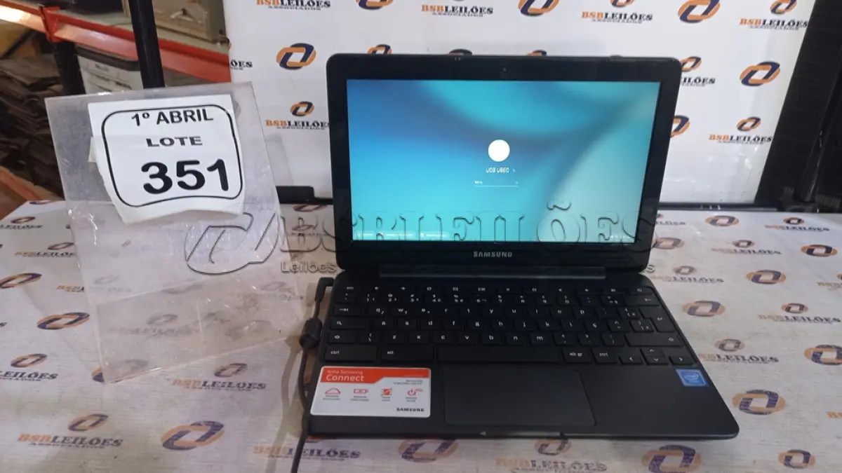 LOTE 351