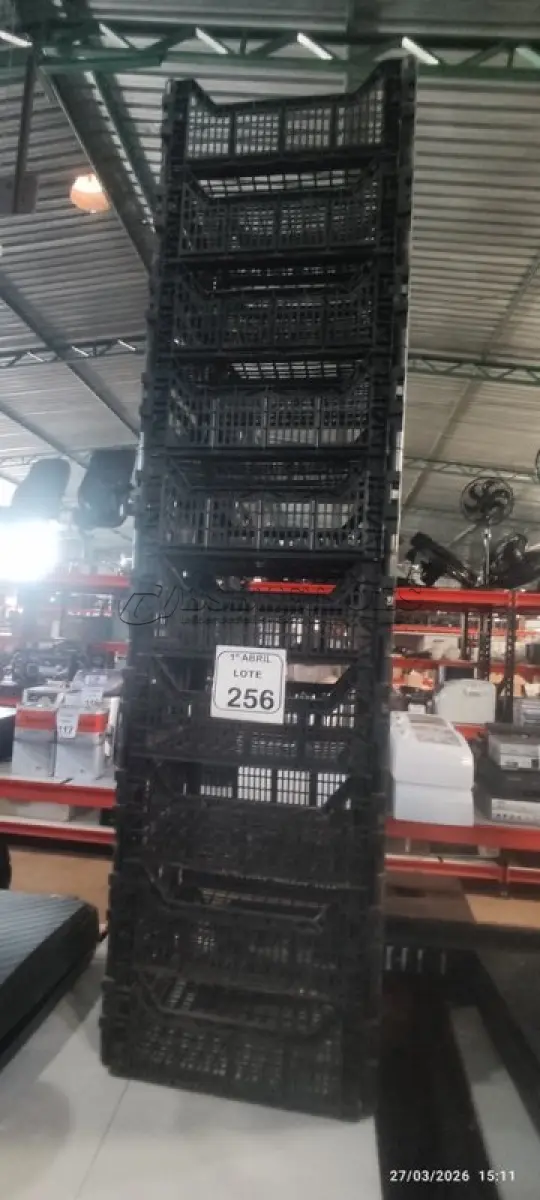 LOTE 256 - 10 CESTAS ORGANIZADORA. (NO ESTADO) ATENÇÃO! FAZER A VISITAÇÃO ANTES DE ARREMATAR, NÃO SABEMOS SE FUNCIONA, LEILÃO NÃO TEM GARANTIA E NEM DEVOLUÇÃO, SUJEITO A POSSÍVEIS AVARIAS VISÍVEIS/OCULTAS E/OU AUSÊNCIA DE COMPONENTES.