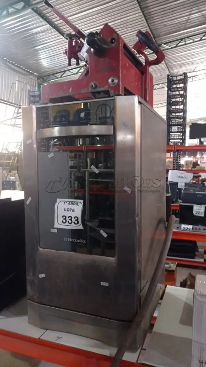 LOTE 333