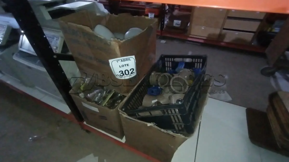 LOTE 302