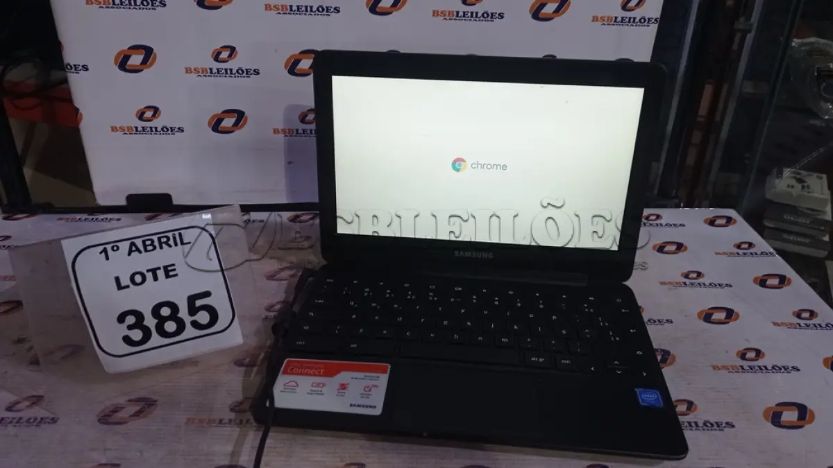 LOTE 385