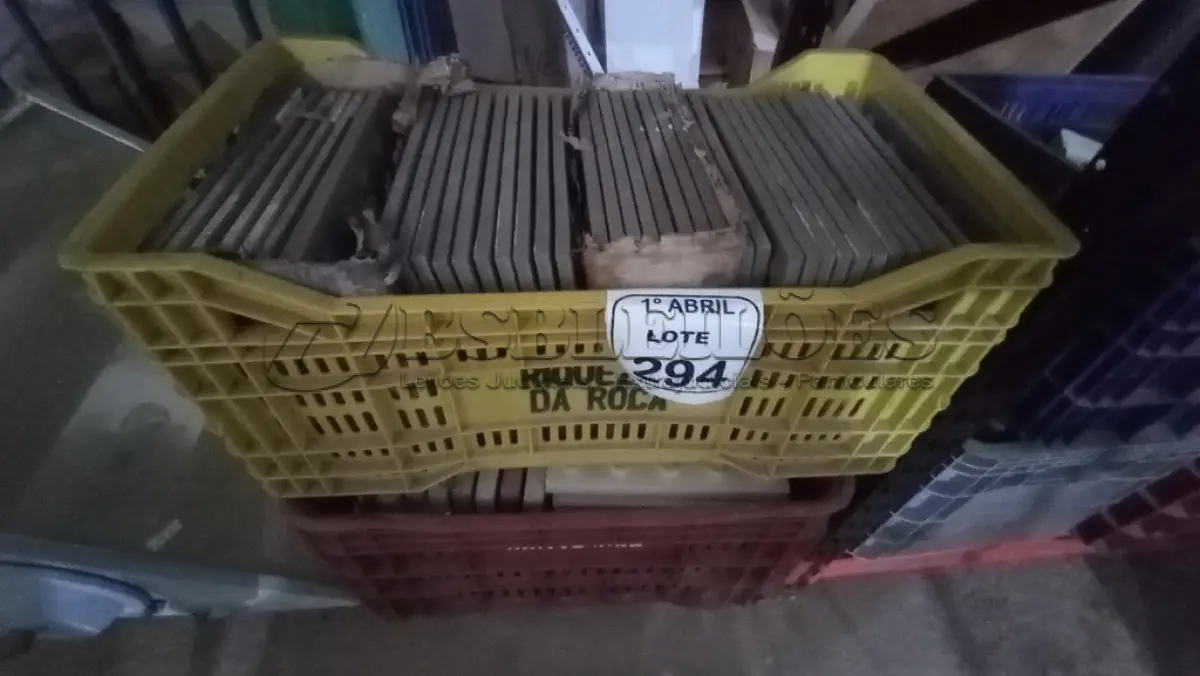 LOTE 294