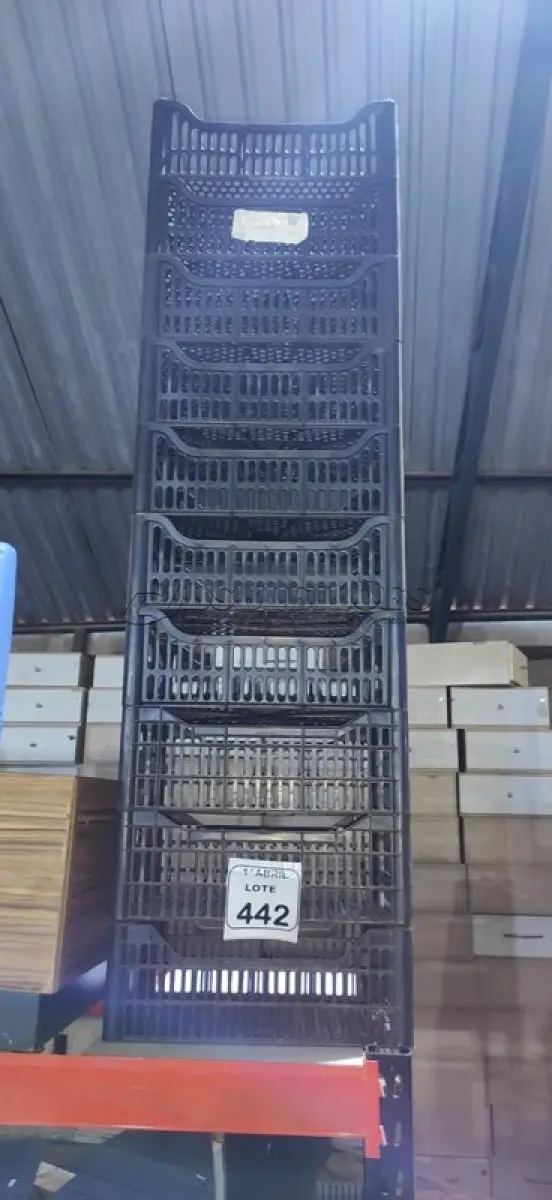 LOTE 442 - 10 CESTAS ORGANIZADORAS. (NO ESTADO) ATENÇÃO! FAZER A VISITAÇÃO ANTES DE ARREMATAR, NÃO SABEMOS SE FUNCIONA, LEILÃO NÃO TEM GARANTIA E NEM DEVOLUÇÃO, SUJEITO A POSSÍVEIS AVARIAS VISÍVEIS/OCULTAS E/OU AUSÊNCIA DE COMPONENTES.