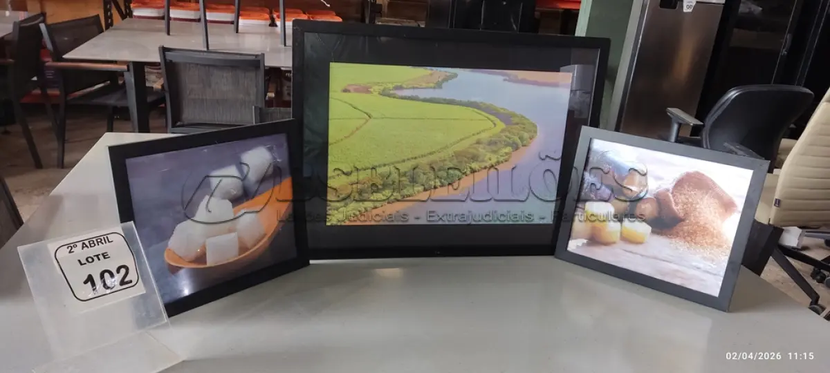 LOTE 102 - 03 QUADROS PEQUENOS DECORATIVOS. (NO ESTADO) ATENÇÃO! FAZER A VISITAÇÃO ANTES DE ARREMATAR, NÃO SABEMOS SE FUNCIONA, LEILÃO NÃO TEM GARANTIA E NEM DEVOLUÇÃO, SUJEITO A POSSÍVEIS AVARIAS VISÍVEIS/OCULTAS E/OU AUSÊNCIA DE COMPONENTES.