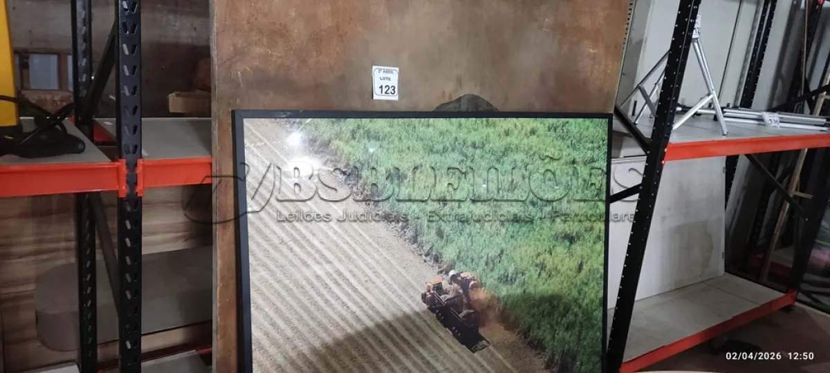 LOTE 123 - 02 QUADROS GRANDES DECORATIVOS. (NO ESTADO) ATENÇÃO! FAZER A VISITAÇÃO ANTES DE ARREMATAR, NÃO SABEMOS SE FUNCIONA, LEILÃO NÃO TEM GARANTIA E NEM DEVOLUÇÃO, SUJEITO A POSSÍVEIS AVARIAS VISÍVEIS/OCULTAS E/OU AUSÊNCIA DE COMPONENTES.
