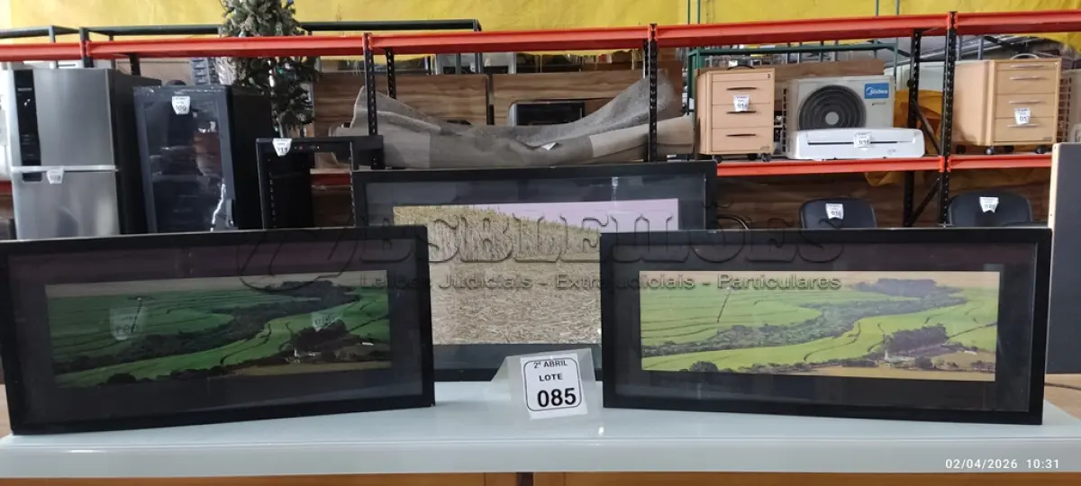 LOTE 085 - 02 QUADROS PEQUENOS DECORATIVOS. (NO ESTADO) ATENÇÃO! FAZER A VISITAÇÃO ANTES DE ARREMATAR, NÃO SABEMOS SE FUNCIONA, LEILÃO NÃO TEM GARANTIA E NEM DEVOLUÇÃO, SUJEITO A POSSÍVEIS AVARIAS VISÍVEIS/OCULTAS E/OU AUSÊNCIA DE COMPONENTES.