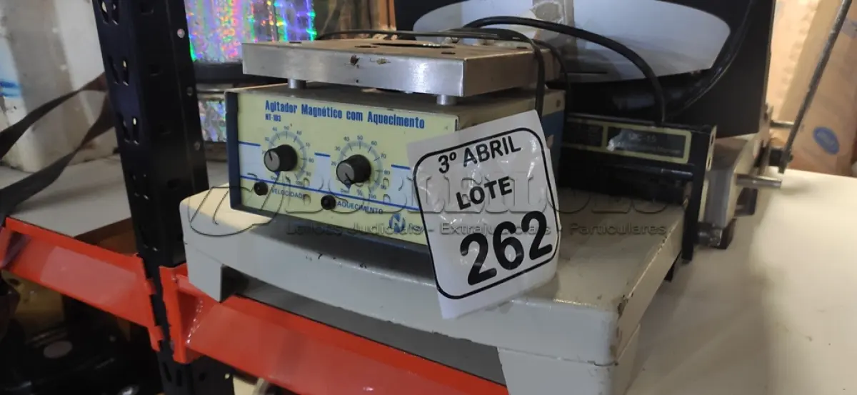 LOTE 262