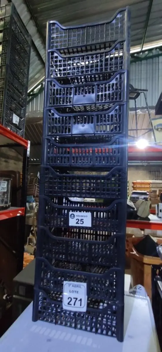 LOTE 271 - 10 CESTAS ORGANIZADORAS. (NO ESTADO) ATENÇÃO! FAZER A VISITAÇÃO ANTES DE ARREMATAR, NÃO SABEMOS SE FUNCIONA, LEILÃO NÃO TEM GARANTIA E NEM DEVOLUÇÃO, SUJEITO A POSSÍVEIS AVARIAS VISÍVEIS/OCULTAS E/OU AUSÊNCIA DE COMPONENTES.