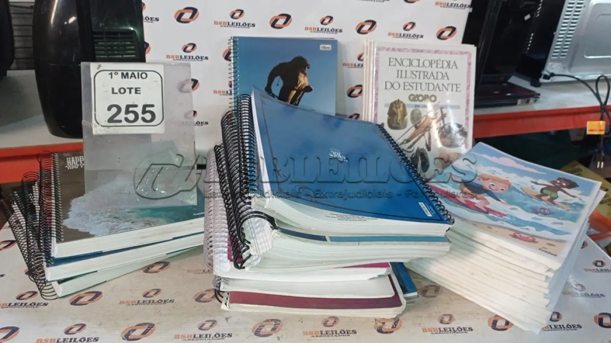 LOTE 255 - 01 LOTE COM VÁRIOS CADERNOS ESCOLARES DE MARCAS E TAMANHOS DIVERSOS. (NO ESTADO) ATENÇÃO! FAZER A VISITAÇÃO ANTES DE ARREMATAR, NÃO SABEMOS SE FUNCIONA, LEILÃO NÃO TEM GARANTIA E NEM DEVOLUÇÃO, SUJEITO A POSSÍVEIS AVARIAS VISÍVEIS/OCULTAS E/OU AUSÊNCIA DE COMPONENTES.