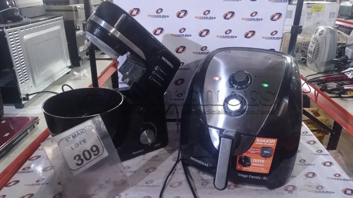 LOTE 309