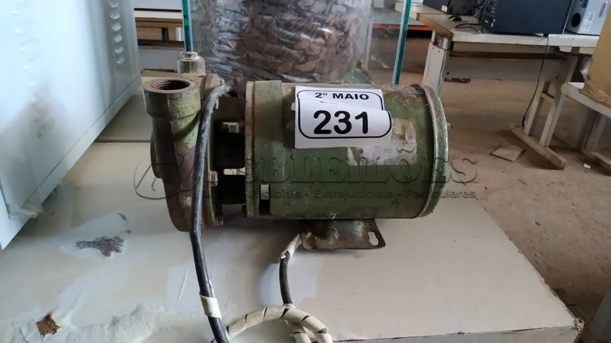 LOTE 231