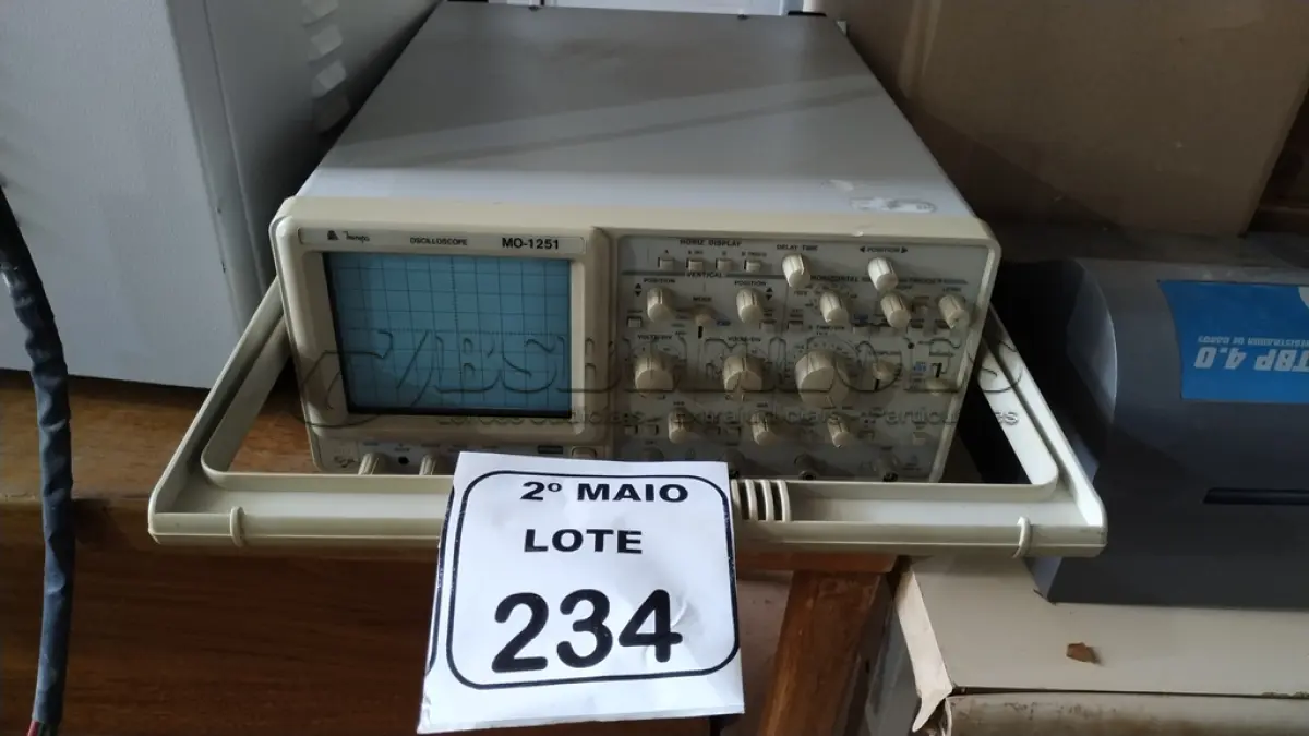 LOTE 234