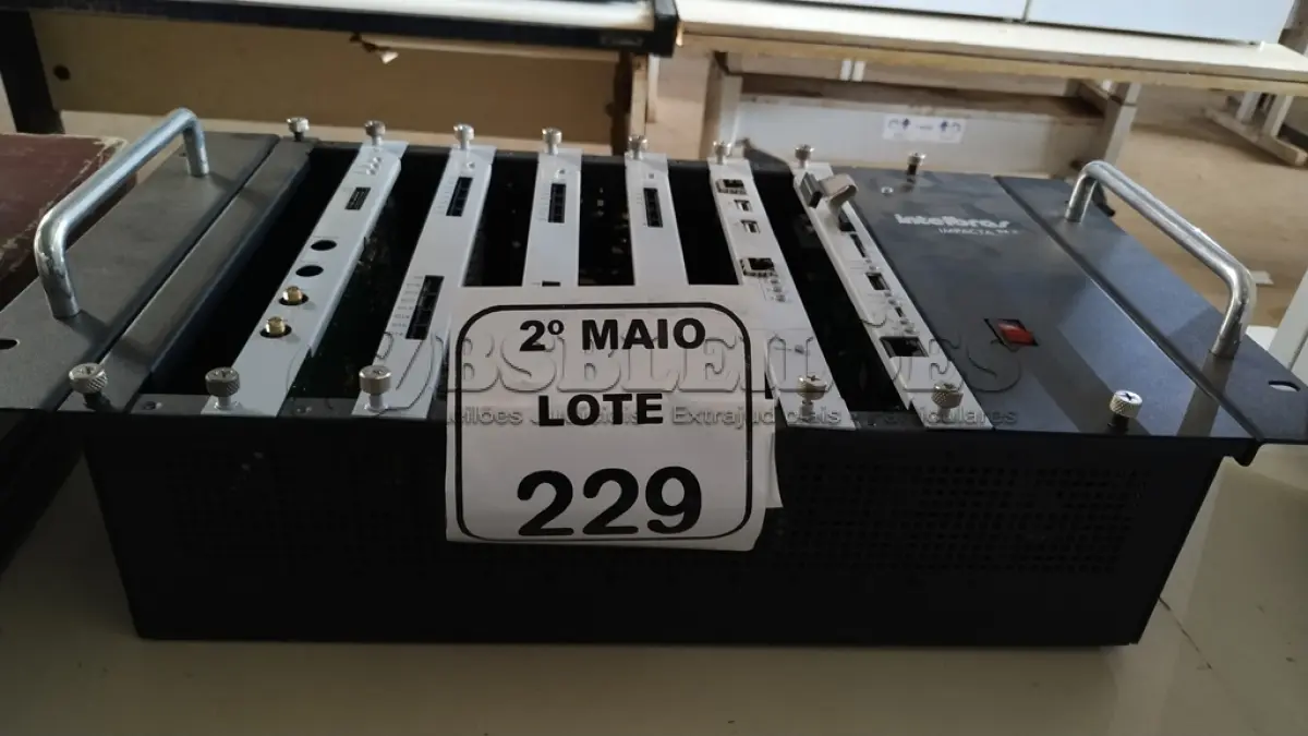 LOTE 229