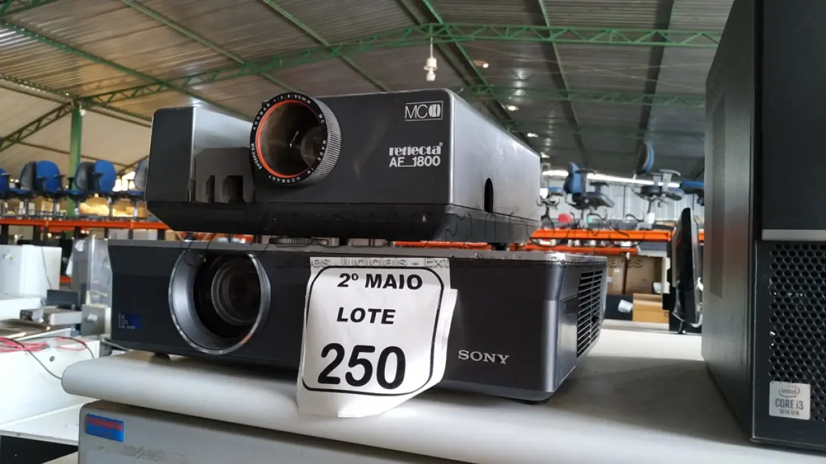 LOTE 250