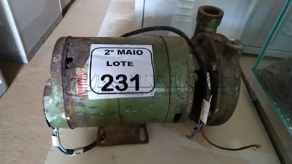LOTE 231 - 01 MOTOR DE INDUÇÃO TRIFÁSICO. (NO ESTADO) ATENÇÃO! FAZER A VISITAÇÃO ANTES DE ARREMATAR, NÃO SABEMOS SE FUNCIONA, LEILÃO NÃO TEM GARANTIA E NEM DEVOLUÇÃO, SUJEITO A POSSÍVEIS AVARIAS VISÍVEIS/OCULTAS E/OU AUSÊNCIA DE COMPONENTES.