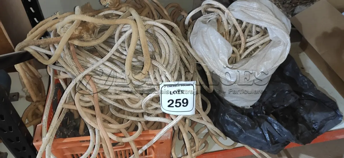 LOTE 259 - 01 LOTE COM CORDAS DIVERSAS. (NO ESTADO) ATENÇÃO! FAZER A VISITAÇÃO ANTES DE ARREMATAR, NÃO SABEMOS SE FUNCIONA, LEILÃO NÃO TEM GARANTIA E NEM DEVOLUÇÃO, SUJEITO A POSSÍVEIS AVARIAS VISÍVEIS/OCULTAS E/OU 
