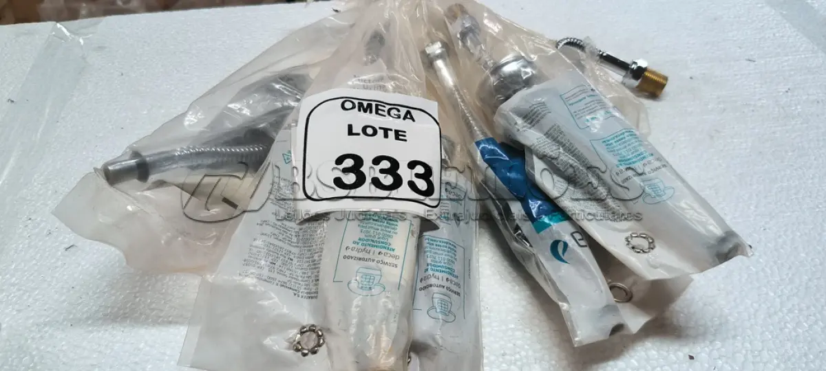 LOTE 333