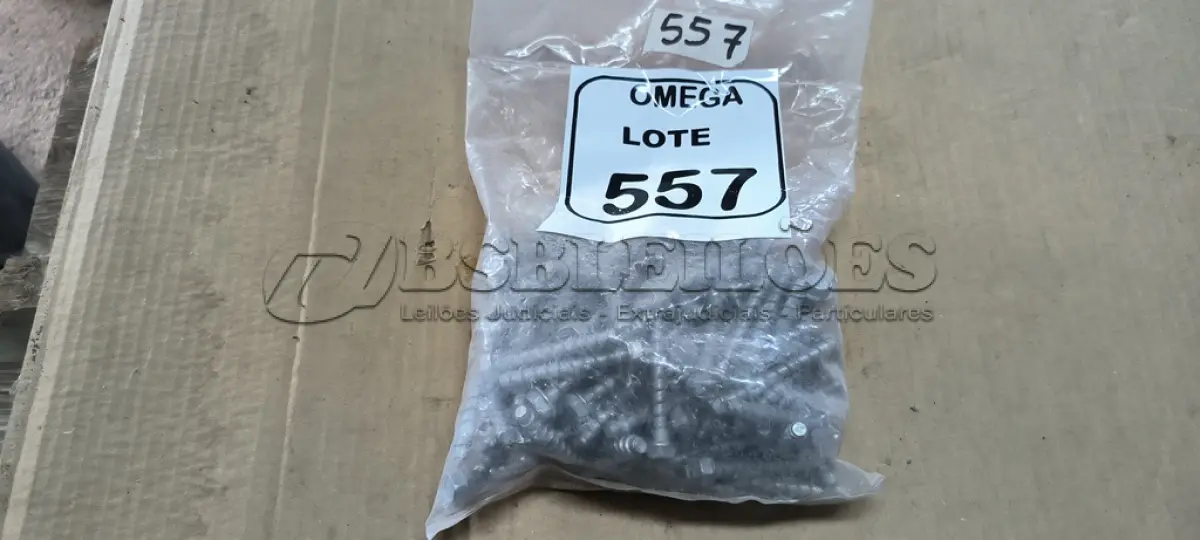 LOTE 557 - 100 PARAFUSOS CHUMBADOR RARDBOLT GALV. 7/16 - M6X50MM. (NO ESTADO EM QUE SE ENCONTRA. SUJEITO A AVARIAS OCULTAS/VISÍVEIS.)