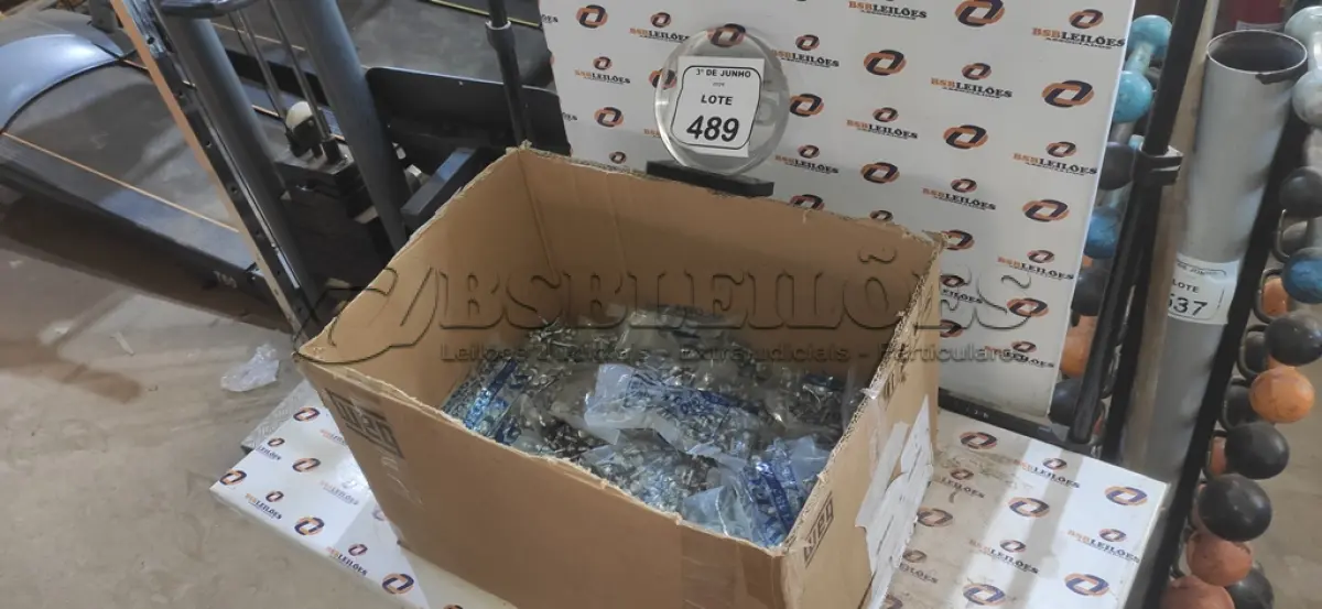 LOTE 489 - 01 CAIXA COM APROXIMADAMENTE 5.500 PARAFUSOS AUTO BROCANTE. (NO ESTADO) ATENÇÃO! FAZER A VISITAÇÃO ANTES DE ARREMATAR, NÃO SABEMOS SE FUNCIONA, LEILÃO NÃO TEM GARANTIA E NEM DEVOLUÇÃO, SUJEITO A POSSÍVEIS AVARIAS VISÍVEIS/OCULTAS E/OU AUSÊNCIA DE COMPONENTES.
