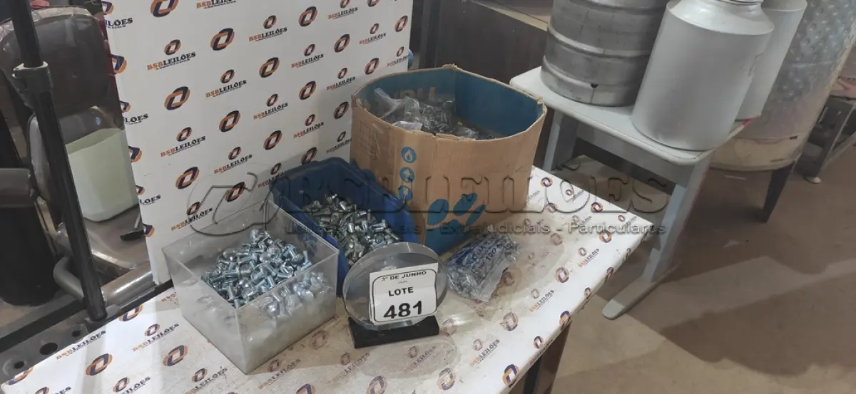 LOTE 481 - 01 CAIXA COM APROXIMADAMENTE 1200 PARAFUSOS AUTO BROCANTE E PARAFUSOS DIVERSOS. (NO ESTADO) ATENÇÃO! FAZER A VISITAÇÃO ANTES DE ARREMATAR, NÃO SABEMOS SE FUNCIONA, LEILÃO NÃO TEM GARANTIA E NEM DEVOLUÇÃO, SUJEITO A POSSÍVEIS AVARIAS VISÍVEIS/OCULTAS E/OU AUSÊNCIA DE COMPONENTES.