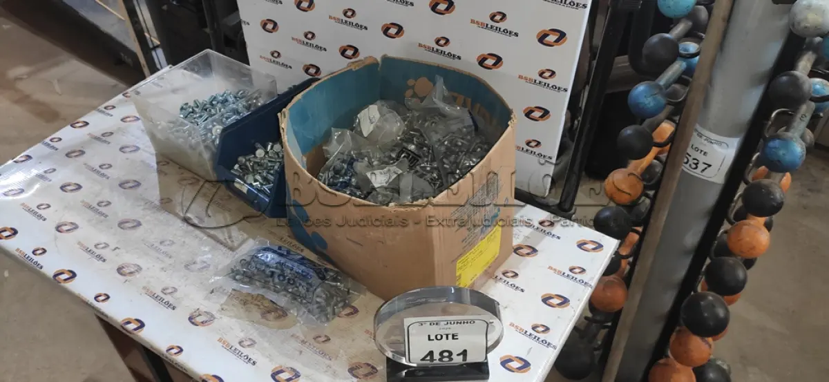 LOTE 481 - 01 CAIXA COM APROXIMADAMENTE 1200 PARAFUSOS AUTO BROCANTE E PARAFUSOS DIVERSOS. (NO ESTADO) ATENÇÃO! FAZER A VISITAÇÃO ANTES DE ARREMATAR, NÃO SABEMOS SE FUNCIONA, LEILÃO NÃO TEM GARANTIA E NEM DEVOLUÇÃO, SUJEITO A POSSÍVEIS AVARIAS VISÍVEIS/OCULTAS E/OU AUSÊNCIA DE COMPONENTES.