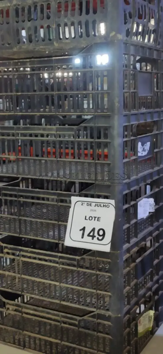 LOTE 149 - 10 CESTAS ORGANIZADORAS. (NO ESTADO) ATENÇÃO! FAZER A VISITAÇÃO ANTES DE ARREMATAR, NÃO SABEMOS SE FUNCIONA, LEILÃO NÃO TEM GARANTIA E NEM DEVOLUÇÃO, SUJEITO A POSSÍVEIS AVARIAS VISÍVEIS/OCULTAS E/OU AUSÊNCIA DE COMPONENTES.