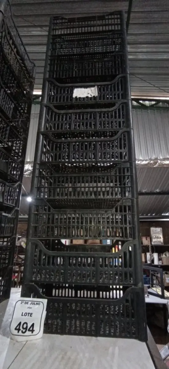 LOTE 494 - 10 CESTAS ORGANIZADORAS. (NO ESTADO) ATENÇÃO! FAZER A VISITAÇÃO ANTES DE ARREMATAR, NÃO SABEMOS SE FUNCIONA, LEILÃO NÃO TEM GARANTIA E NEM DEVOLUÇÃO, SUJEITO A POSSÍVEIS AVARIAS VISÍVEIS/OCULTAS E/OU AUSÊNCIA DE COMPONENTES.