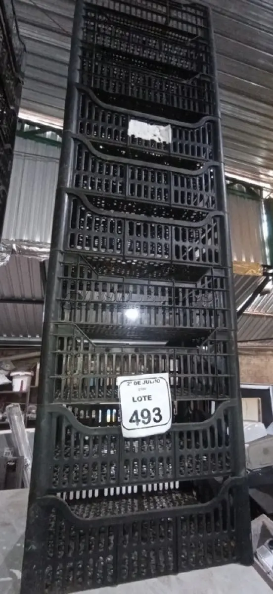 LOTE 493 - 10 CESTAS ORGANIZADORAS. (NO ESTADO) ATENÇÃO! FAZER A VISITAÇÃO ANTES DE ARREMATAR, NÃO SABEMOS SE FUNCIONA, LEILÃO NÃO TEM GARANTIA E NEM DEVOLUÇÃO, SUJEITO A POSSÍVEIS AVARIAS VISÍVEIS/OCULTAS E/OU AUSÊNCIA DE COMPONENTES.