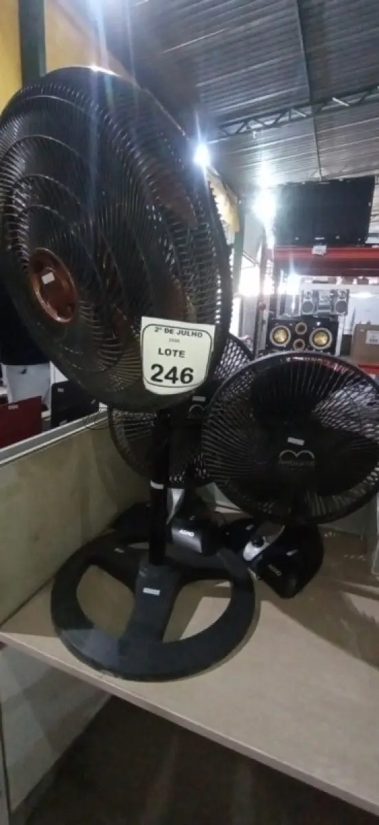 LOTE 246 - 03 VENTILADORES DE MARCAS E MODELOS DIVERSOS. (NO ESTADO) ATENÇÃO! FAZER A VISITAÇÃO ANTES DE ARREMATAR, NÃO SABEMOS SE FUNCIONA, LEILÃO NÃO TEM GARANTIA E NEM DEVOLUÇÃO, SUJEITO A POSSÍVEIS AVARIAS VISÍVEIS/OCULTAS E/OU AUSÊNCIA DE COMPONENTES.
