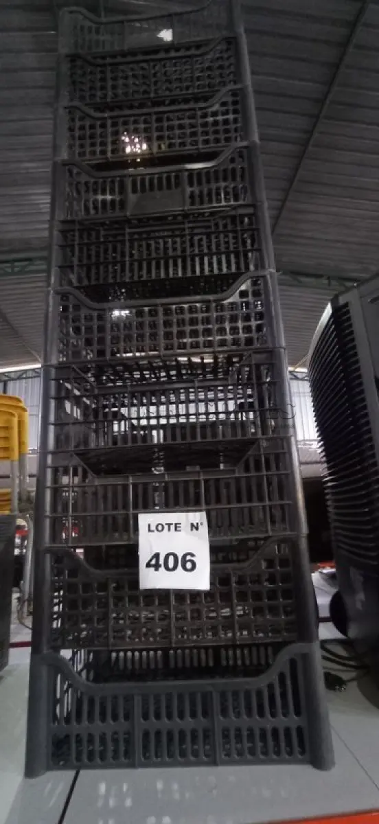 LOTE 406 - 10 CESTAS ORGANIZADORAS. (NO ESTADO) ATENÇÃO! FAZER A VISITAÇÃO ANTES DE ARREMATAR, NÃO SABEMOS SE FUNCIONA, LEILÃO NÃO TEM GARANTIA E NEM DEVOLUÇÃO, SUJEITO A POSSÍVEIS AVARIAS VISÍVEIS/OCULTAS E/OU AUSÊNCIA DE COMPONENTES.