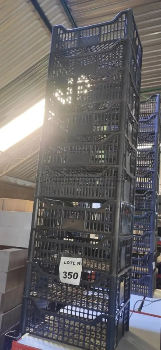 LOTE 350 - 10 CESTAS ORGANIZADORAS. (NO ESTADO) ATENÇÃO! FAZER A VISITAÇÃO ANTES DE ARREMATAR, NÃO SABEMOS SE FUNCIONA, LEILÃO NÃO TEM GARANTIA E NEM DEVOLUÇÃO, SUJEITO A POSSÍVEIS AVARIAS VISÍVEIS/OCULTAS E/OU AUSÊNCIA DE COMPONENTES.